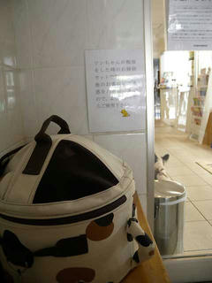 DSCN6235.jpg