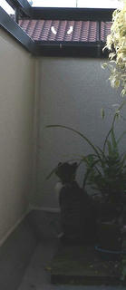 DSCN6412.jpg