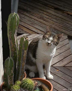 DSCN6283.jpg