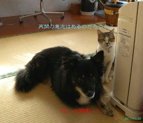 DSCN6587.jpg