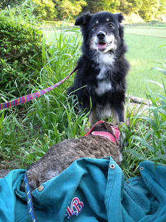 DSCN6805.jpg
