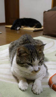 DSCN6768.jpg