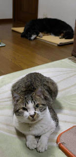 DSCN6771.jpg