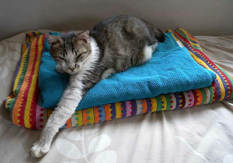 DSCN6909.jpg