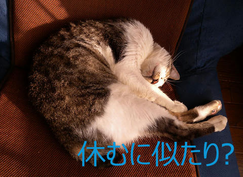 DSCN7019.jpg