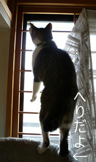 DSCN6933.jpg