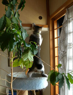 DSCN6934.jpg