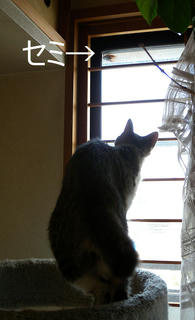 DSCN6936.jpg
