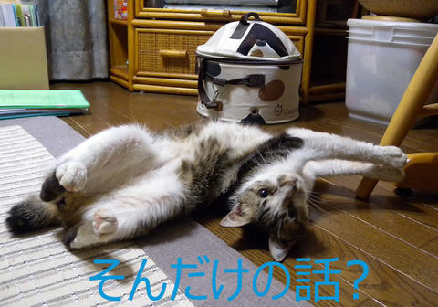 DSCN6925.jpg
