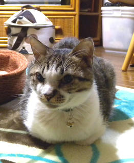 DSCN7026.jpg