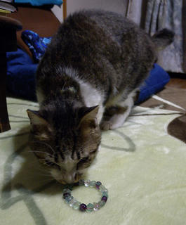 DSCN7033.jpg