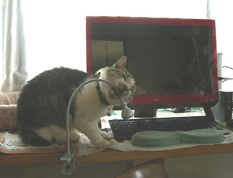 DSCN7046.jpg