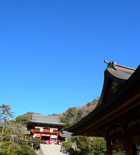 DSCN7145.jpg