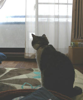 DSCN7169.jpg