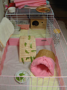 DSCF1167.JPG