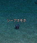 c845f9c9.jpg