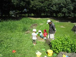 IMG_3526.jpg