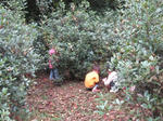IMG_3781.jpg