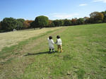 IMG_3839.jpg