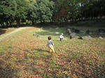 IMG_3902.jpg
