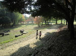 IMG_3911.jpg