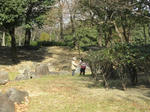 IMG_4261.jpg