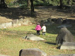 IMG_4269.jpg