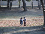 IMG_4176.jpg
