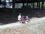 IMG_4163.jpg