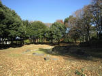 IMG_4107.jpg