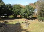 IMG_4099.jpg