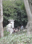 IMG_4352.jpg