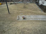 IMG_4365.jpg