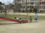 IMG_4368.jpg