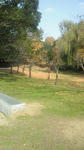 201212071104000_blog.jpg