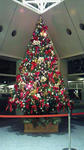 091206-5.jpg