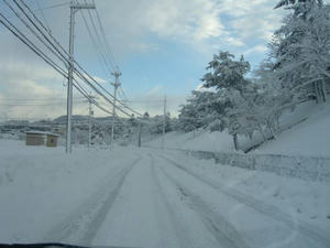 CIMG0733.JPG
