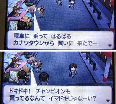 b1203278.jpeg