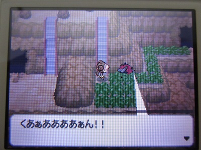 クリア後その４ 鳥馬鹿日誌