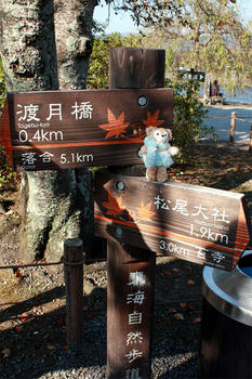 案内看板もかわいい。