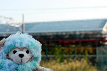 トロッコ列車。