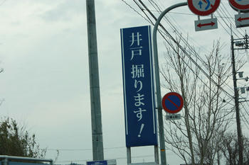 掘ってみるか？