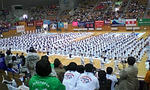 080325_1624~01001.jpg