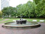 CIMG0295.JPG