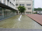 CIMG0300.JPG