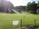 CIMG0445.JPG