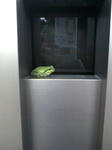 20100812124943.jpg