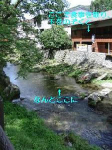9d14c00a.jpg