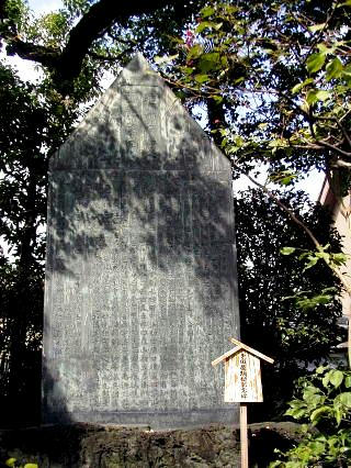 teradaya-61.jpg