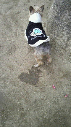 2011011512300000.jpg